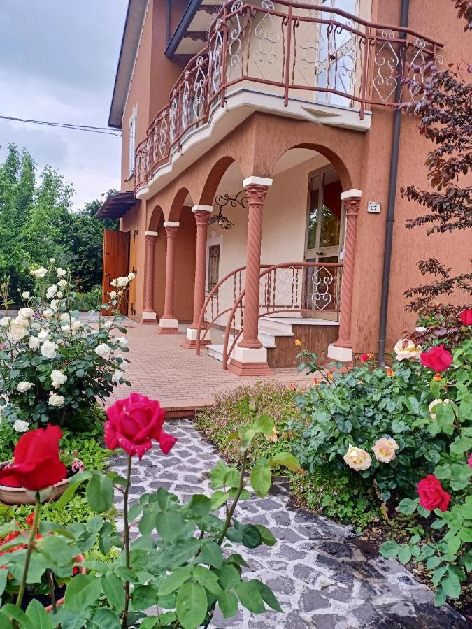 Lily - Storie Del Bosco - Panzió San Felice sul Panaro Kültér fotó